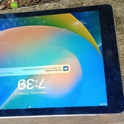 IPad Mini Cracked Screen