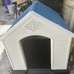 Dog House 