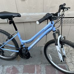 goodbike evryting work good tires size 24”