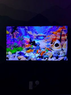 Samsung 65” Q7F 4K QLED Smart TV – 120Hz