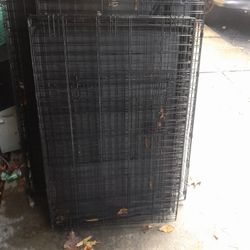 Extra Large And Large Dog Cages Have 4 Available 70 Each