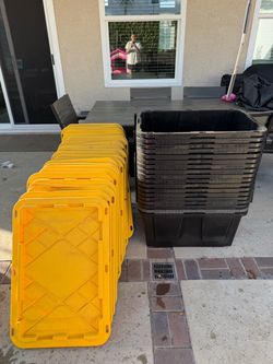 Storage Bins