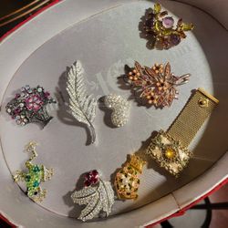 Variety Of Broushes, Pins. $20 Each