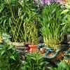 Nursery Outlet