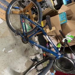 Se Bike Custom Big Flyer  Read Description
