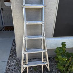 Werner Foldable Ladder 