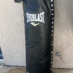 Punching Bag 