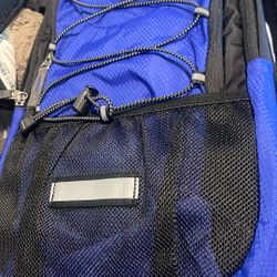 Hydration Backpack