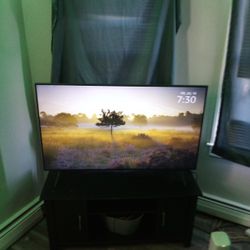 Flatscreen Samsung TV 42"