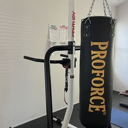Proforce Boxing Bag 75lb With Stand And Gloves