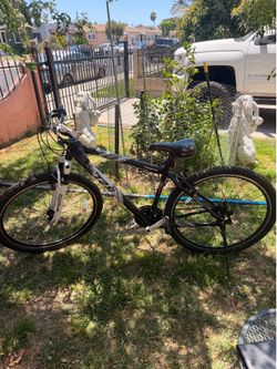 Thruster bike for sale
