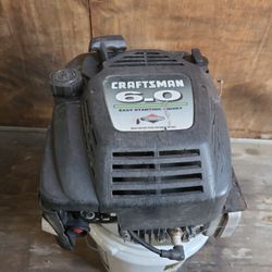 Craftsman 6.0 Briggs & Stratton Verticle Shaft Engine