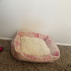 Cat Bed