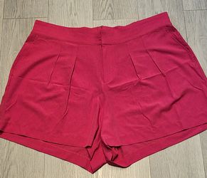 Torrid plus size shorts size 22