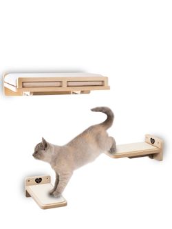 Cat Wall Steps and Bed 