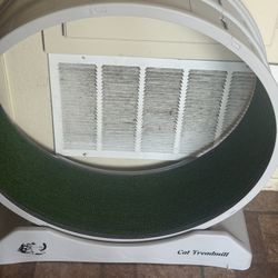 Cat Treadmill