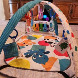 Baby Einstein Tummy Time Activity Gym
