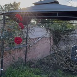 Bbq patio shade 