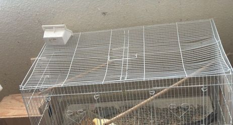 Bird cage