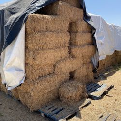 Alfalfa Straw   Cow Feed 