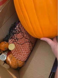 Small box of Halloween decor