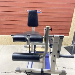 Leg Extension Leg Curl HOIST