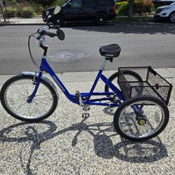 Blue Adult Torker Tristar Tricycle