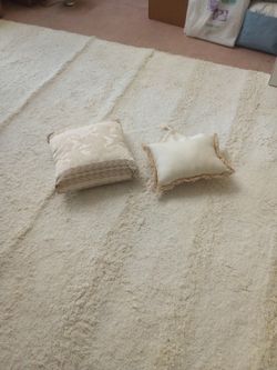 Two Extremely High-quality Furniture Pillows