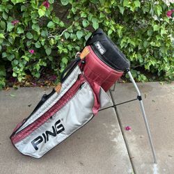 Ping Hoofer Bag