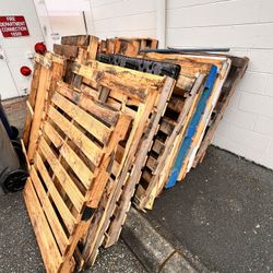 Free Pallets - Mixed Sizes 