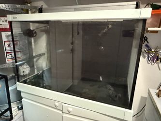 Red Sea Aquarium- 90 gal display