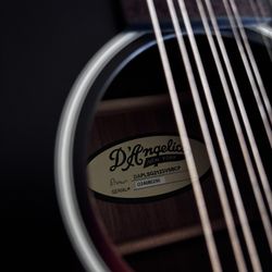 D’Angelico 12 String