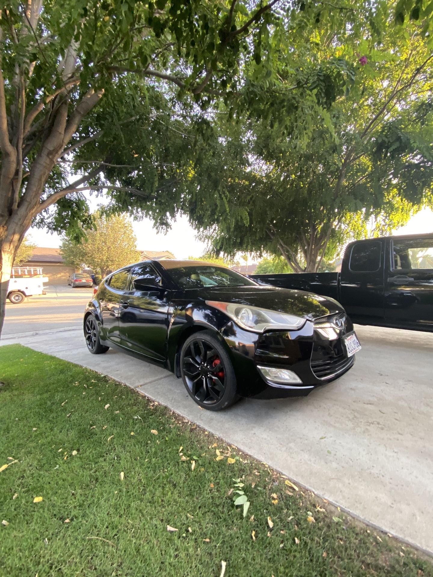 2013 Hyundai Veloster