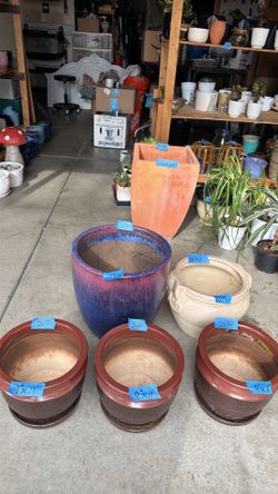 Plants & pots. Indoor/outdoor. Lrg selection of pots