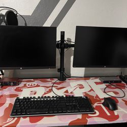 23.8in Dual Monitor Setup With Desk Mount 