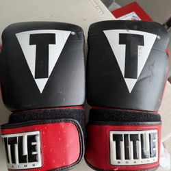 Title 16oz Boxing Gloves
