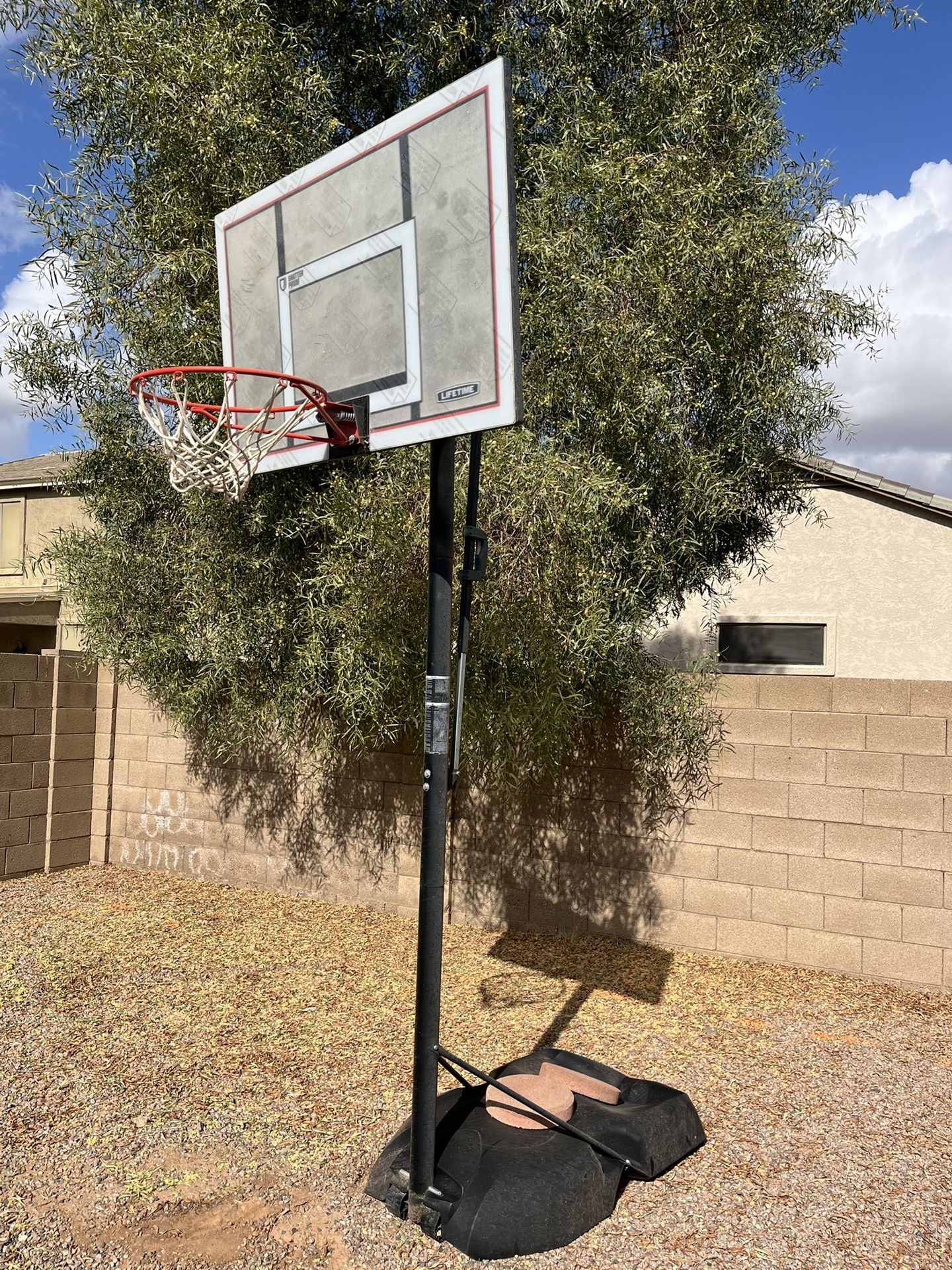 Lifetime Adjustable 10’ Portable Basketball Hoop