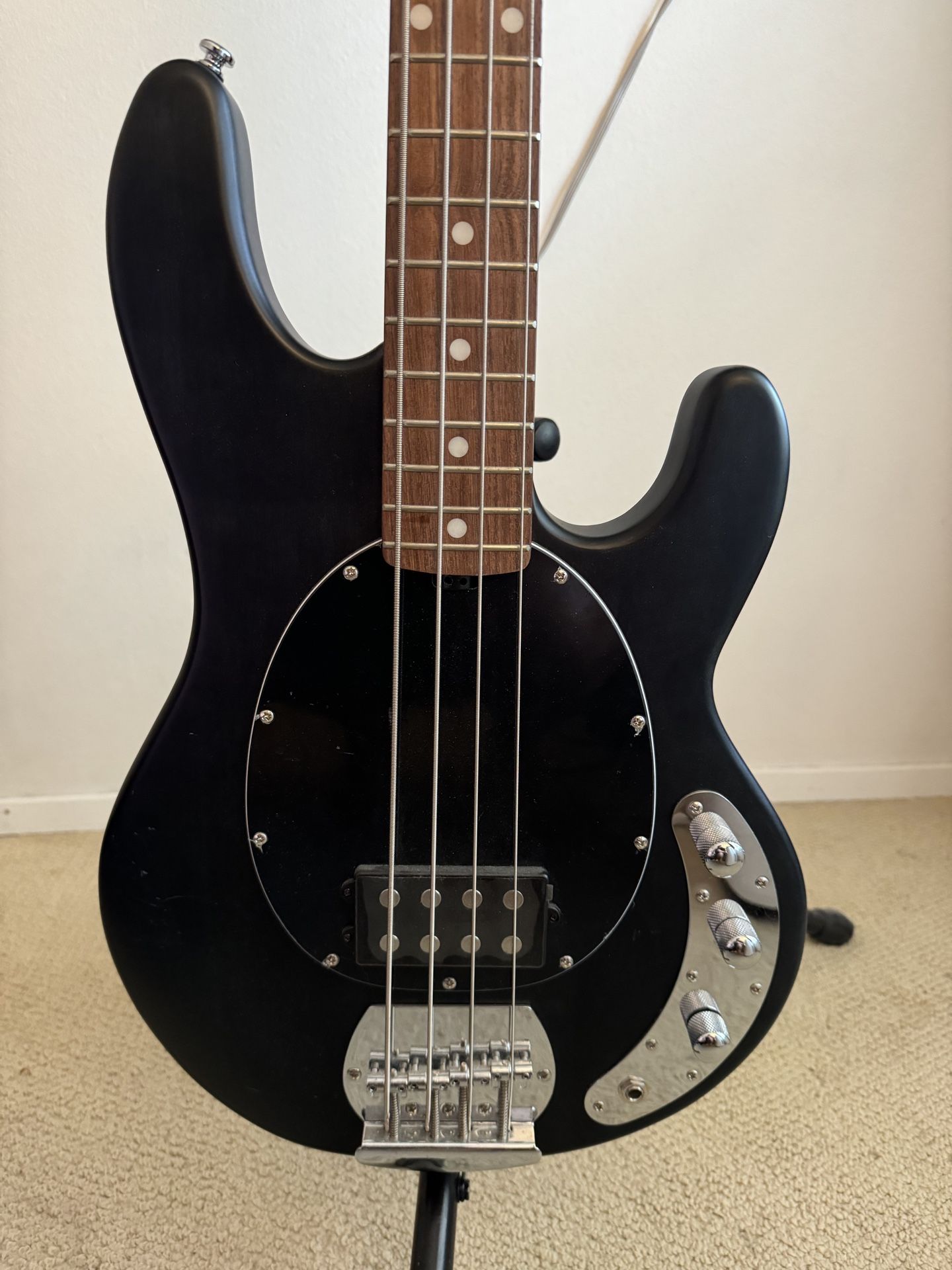 Bass Guitar