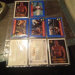 1991 Titan games CLASSIC WRESTLING CARDS 