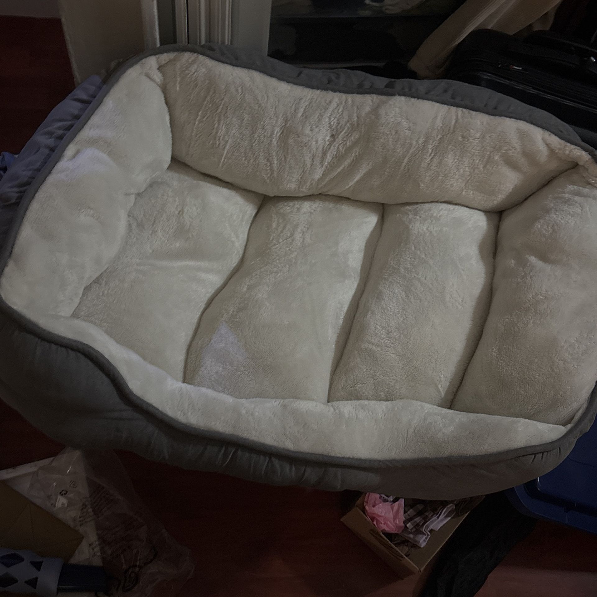 Big Dog Cushion