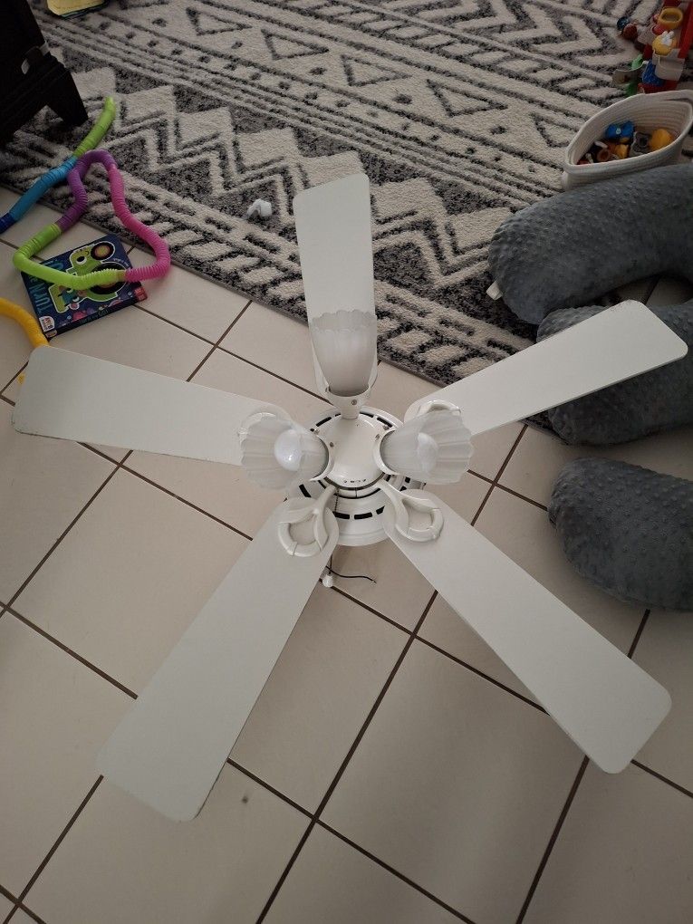 ×2 48" White Fans