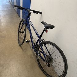 Trek Bike