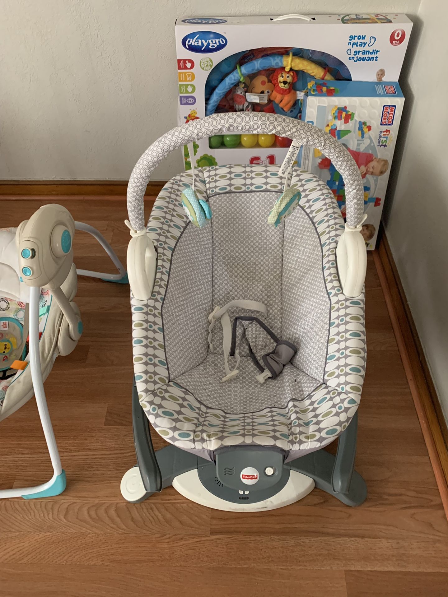 Baby swings and bassinet