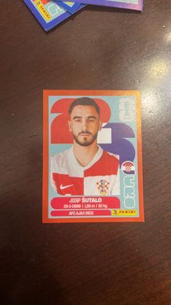 2026 panini World Cup