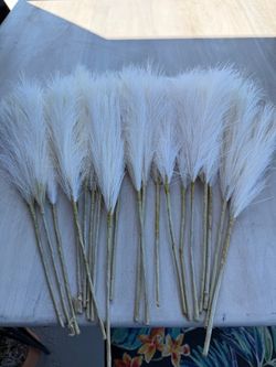 Pampas grass picks