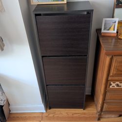 Ikea Bissa Shoe Cabinet