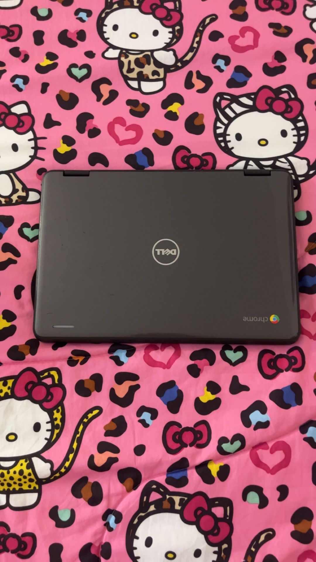 Dell Laptop 