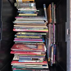 450+ Elementary Chapter Books 