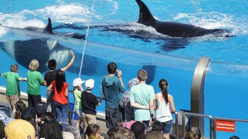 San diego . SEA WORLD Tickets Availability