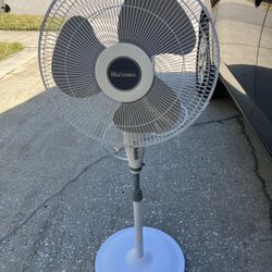 Floor Fan 